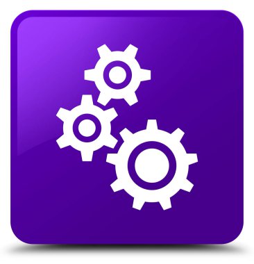 Gears'ın kutsal kişilerin resmi mor kare düğme