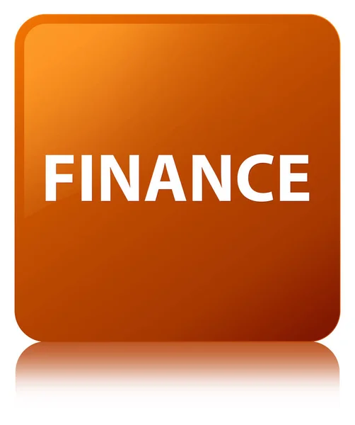 Finance brun fyrkantiga knappen — Stockfoto