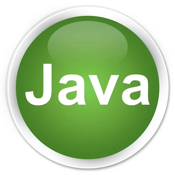 Java premium suave botón redondo verde — Foto de Stock