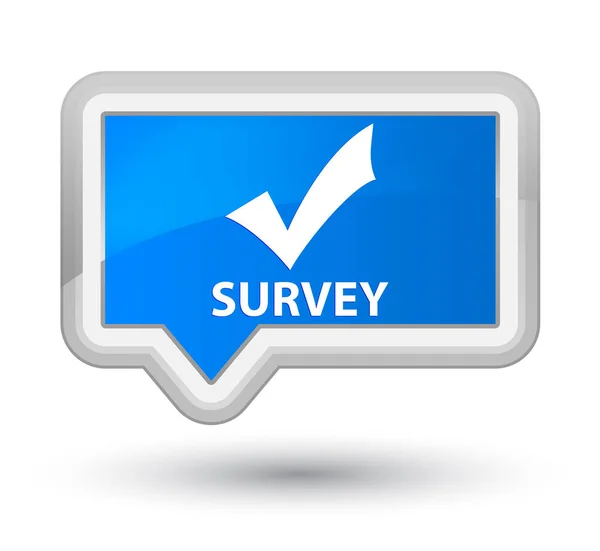 Survey (validate icon) prime cyan blue banner button — Stock Photo, Image