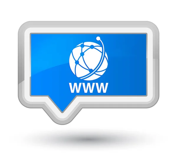 WWW (global network icon) tombol banner biru cyan utama — Stok Foto