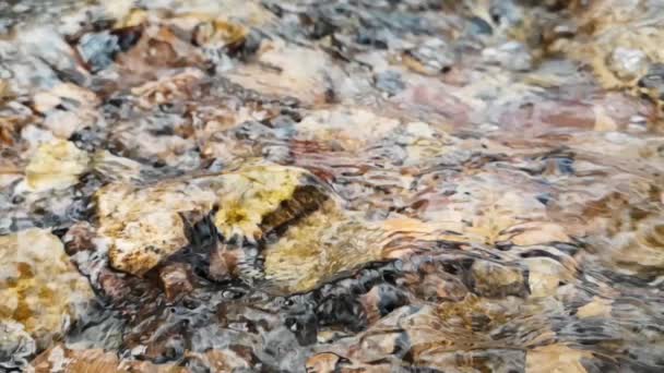 Långsam rörelse av källvatten som rinner över stenar från smältande snö.Meditation — Stockvideo