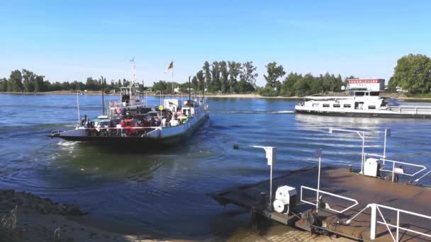 Nierstein Alemania Mayo 2020 Ferryboat Cargado Coches Motocicletas Con Ciclistas — Vídeo de stock