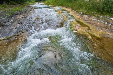 Dağ nehri yeşil ormandan akıyor.