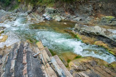 Dağ nehri yeşil ormandan akıyor.