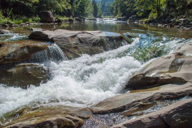 Dağ nehri yeşil ormandan akıyor.