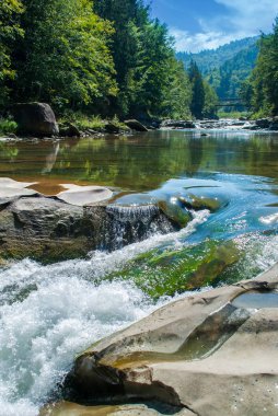 Dağ nehri yeşil ormandan akıyor.