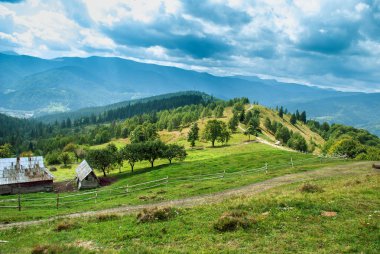 Carpatian dağlar yaz manzara
