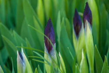 Gün batımında gölde balık tutmak. Balıklama arkaplanı.