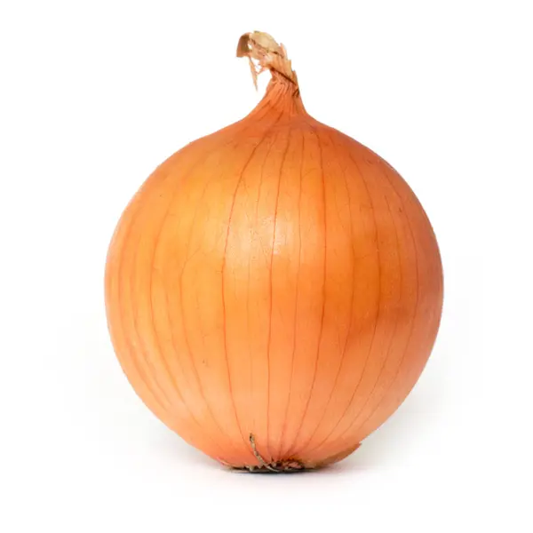 Bulb onion isolate on a white background — Stock Photo, Image