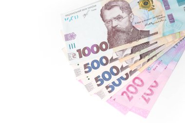 Ukraynalı para hryvnia closeup birçok adettir.
