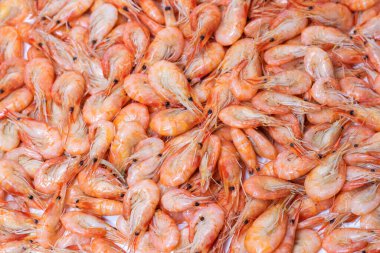 Beyaz arka planda haşlanmış karides. makro.