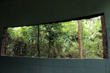 Forground 'lu resim boş duvar. Pencere çerçevesi de arka plan. Arkasında ağaçlar ve yeşil yapraklar olan bir orman var.