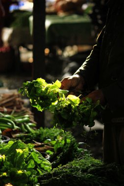 Eldeki yeşil sebzeleraracılığıyla Işık.