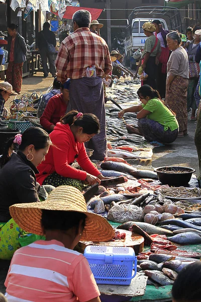 Mercado Peixe Cidade Inle — Fotografia de Stock