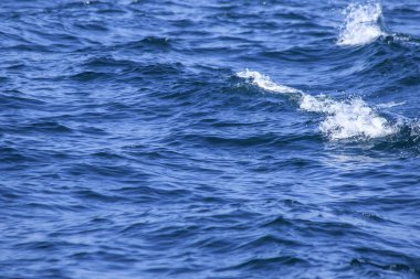 Deniz suyu fışkırır, dalgaların sıçraması, deniz manzarası, deniz suyu yüzeyi kapanır.