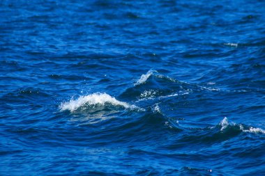 Deniz suyu fışkırır, dalgaların sıçraması, deniz manzarası, deniz suyu yüzeyi kapanır.