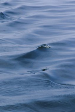 Deniz suyu fışkırır, dalgaların sıçraması, deniz manzarası, deniz suyu yüzeyi kapanır.