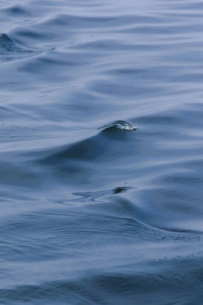 Deniz Suyu Fışkırır Dalgaların Sıçraması Deniz Manzarası Deniz Suyu Yüzeyi — Stok fotoğraf