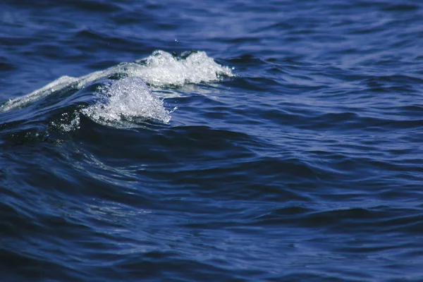 Deniz Suyu Fışkırır Dalgaların Sıçraması Deniz Manzarası Deniz Suyu Yüzeyi — Stok fotoğraf