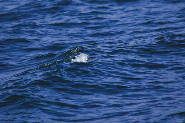 Salpicaduras Agua Mar Salpicaduras Olas Vistas Mar Cerca Superficie Del — Foto de Stock