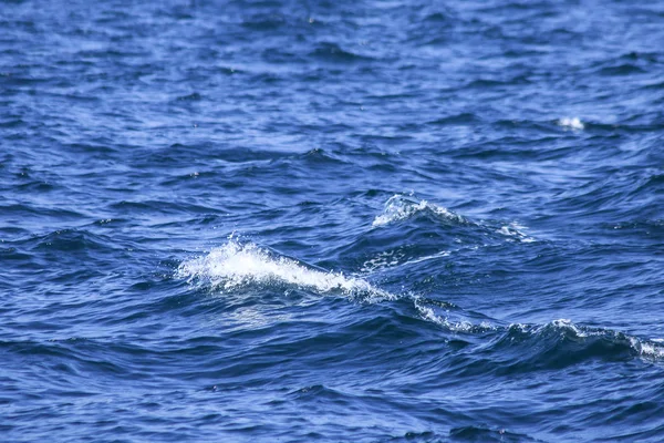 Salpicaduras Agua Mar Salpicaduras Olas Vistas Mar Cerca Superficie Del — Foto de Stock