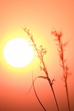 Samanların silueti ve şafağın doğuşu