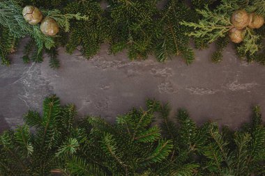 Noel arka plan gerçek çam ağacı dalları ile