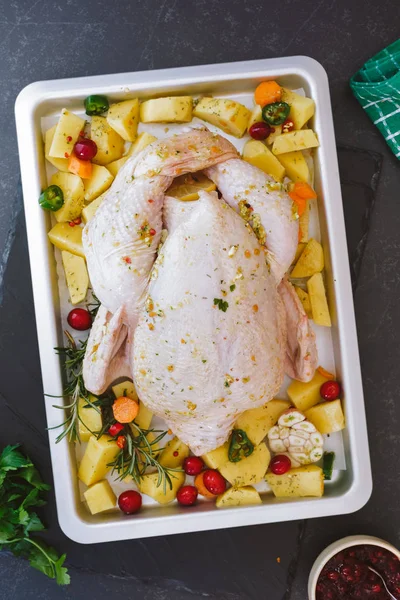 Hele rauwe kip met aardappelen, veenbessen en rozemarijn — Stockfoto