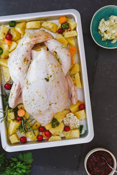 Pollo crudo con arándanos y verduras —  Fotos de Stock