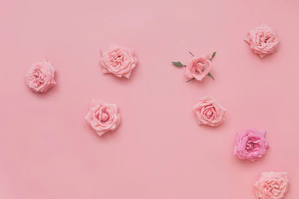 Cabezas de rosas surtidos sobre fondo pastel — Foto de Stock