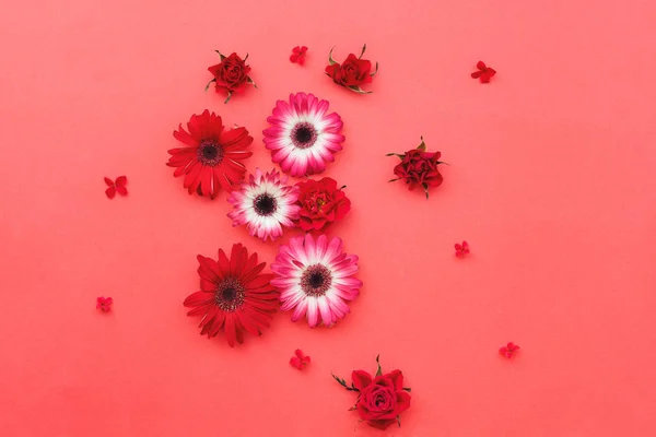 Kwitnące kwiaty na tle czerwonego papieru — Zdjęcie stockowe