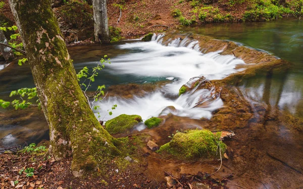 Río Montaña en la primavera — Foto de Stock