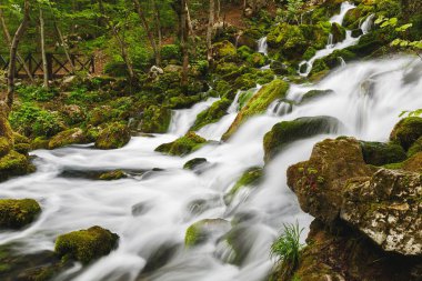 İlkbaharda yosunlu kayaların üzerine düşen nehir su