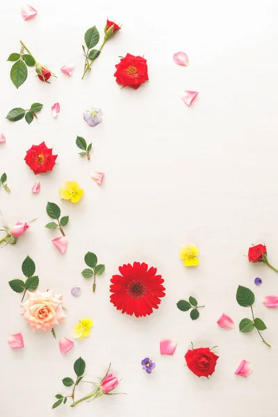 Färgglada blommor bakgrund — Stockfoto