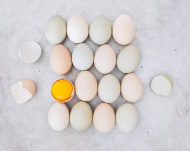 Ücretsiz aralığı tavuk yumurtası