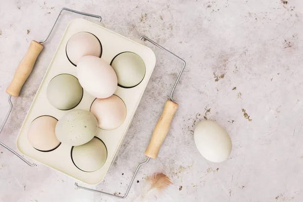 Organic eggs  of araucana hens in rustic metal holder — Stock Photo, Image