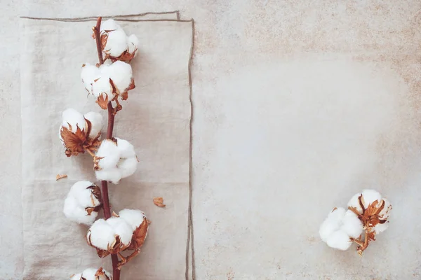 Hermosa Rama Flores Algodón Blanco Sobre Fondo Hormigón Rústico Vista — Foto de Stock