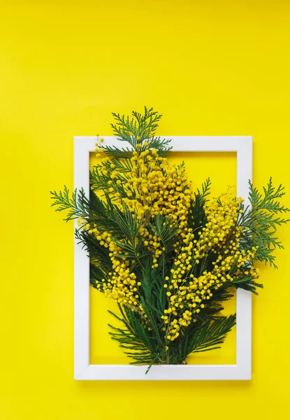 Mimosa Gallyak Virágokkal Levelekkel Egy Keret Fotó Élénk Sárga Háttér — Stock Fotó
