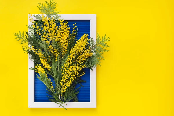 Világos Sárga Mimóza Virágok Zöld Ágak Kék Minta Textúra Gyűrött — Stock Fotó