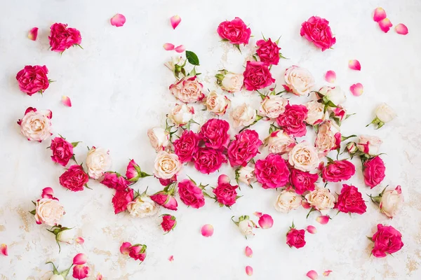 Röda Och Rosa Rosor Bakgrund Insamling Rosor Och Kronblad Arrangerade — Stockfoto