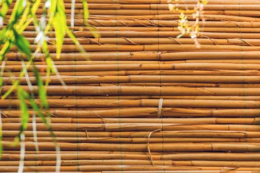Yatay bambu panjurları. Doğanın arka grubu olarak kullanılmak üzere bambu perde