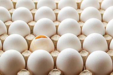 Karton bir kabın içinde kırılmış bir tavuk yumurtası.