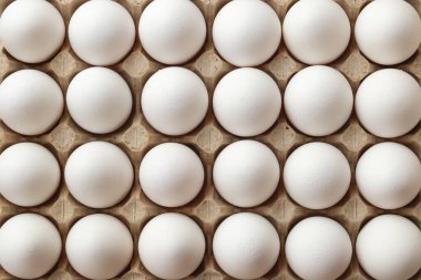 Hücre yumurta tepsisinde beyaz tavuk yumurtası. Üst görünüm, arkaplan.