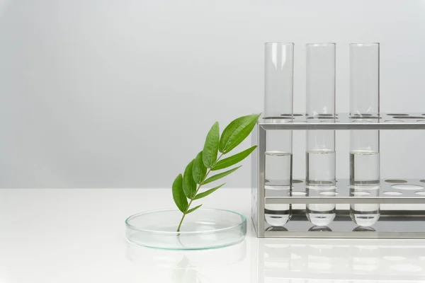 green leaves with laboratory glassware and equipment
