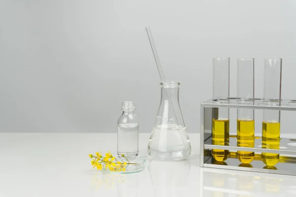 Flor Con Líquido Amarillo Tubos Ensayo Cristalería Laboratorio — Foto de Stock