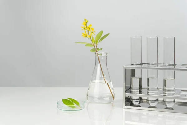 green leaves and flower with laboratory glassware and equipment