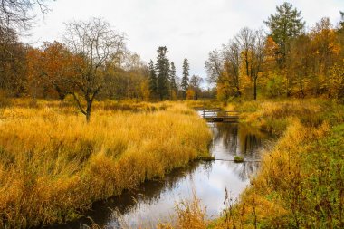 dağlarda eski yerleşimler terk edilmiş ve yosun ile büyümüş