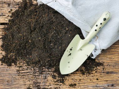 Ahşap arka plan üzerinde dikim için çanta ile organik toprak 