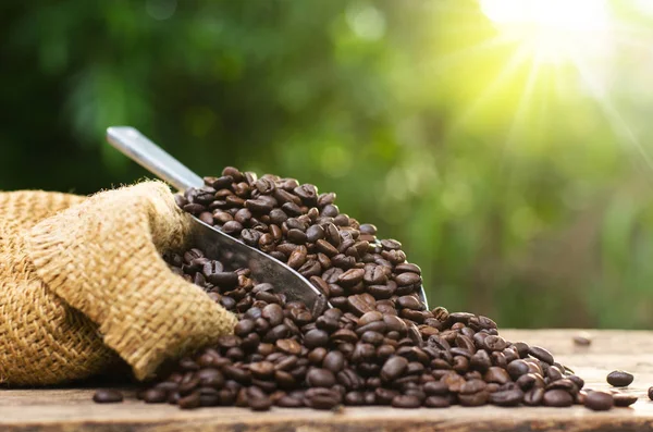 Coffee bean bag and coffee roasted over nature green background — Stock Photo, Image